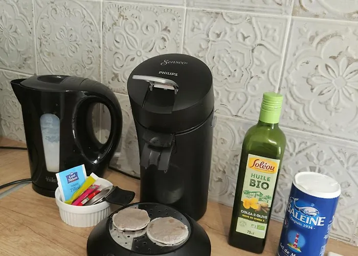 L'esprit Cyrano 公寓 贝尔热拉克